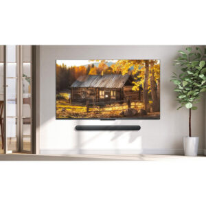 TCL 55C805K 55" 4K QLED Mini-LED HDR Google TV